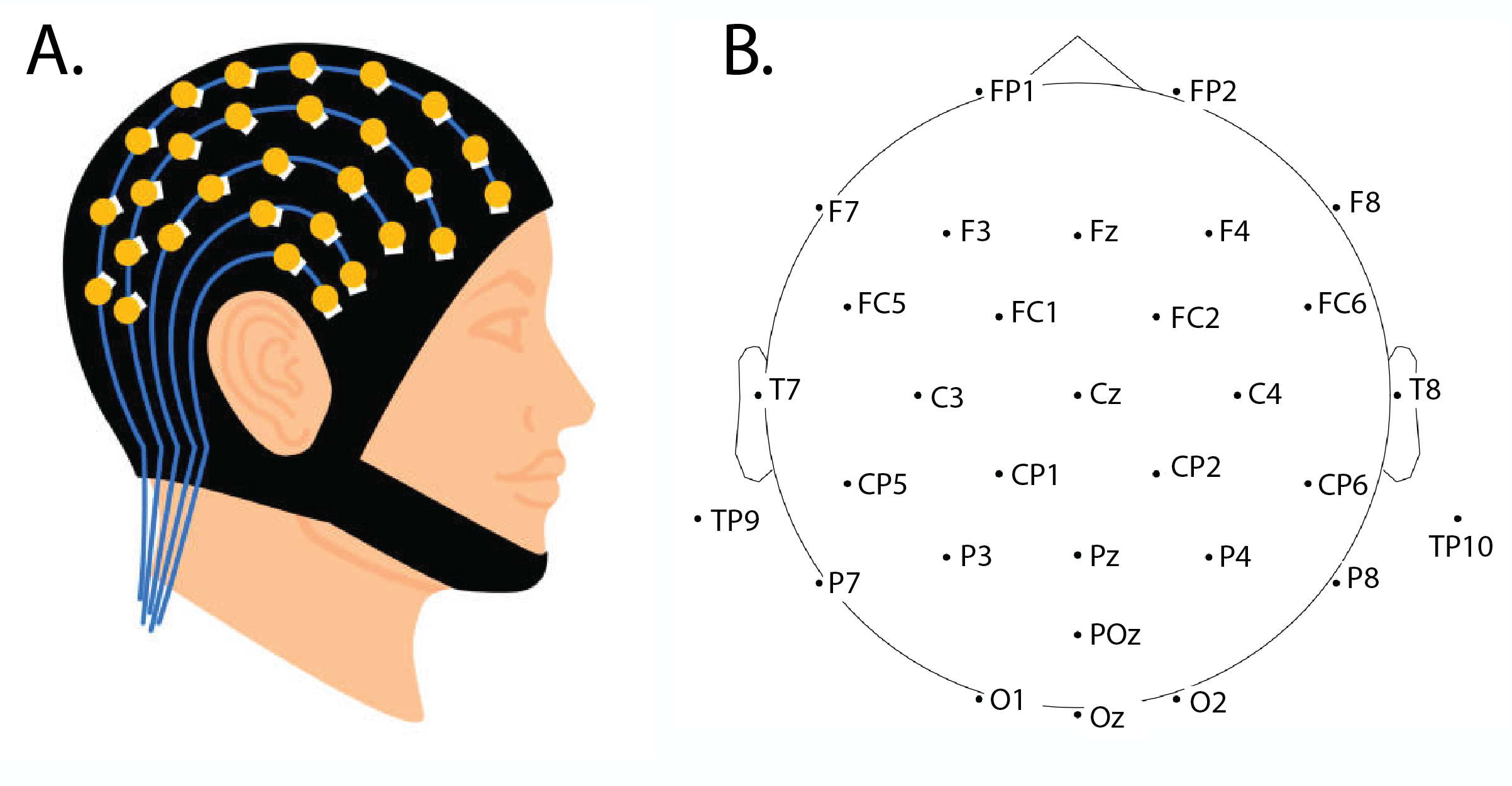 (A) Cartoonized illustration of EEG cap and (B) placement of EEG electrodes in the experiment according to the 10-20 coordinate system